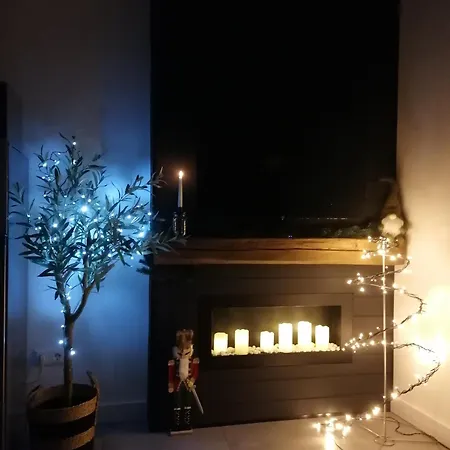 Loft Haz